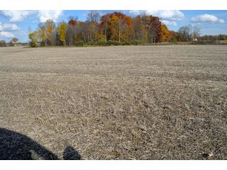 Property photo 45 - 127 Acres Offered in 8 Tracts - Allen & Dekalb County Land